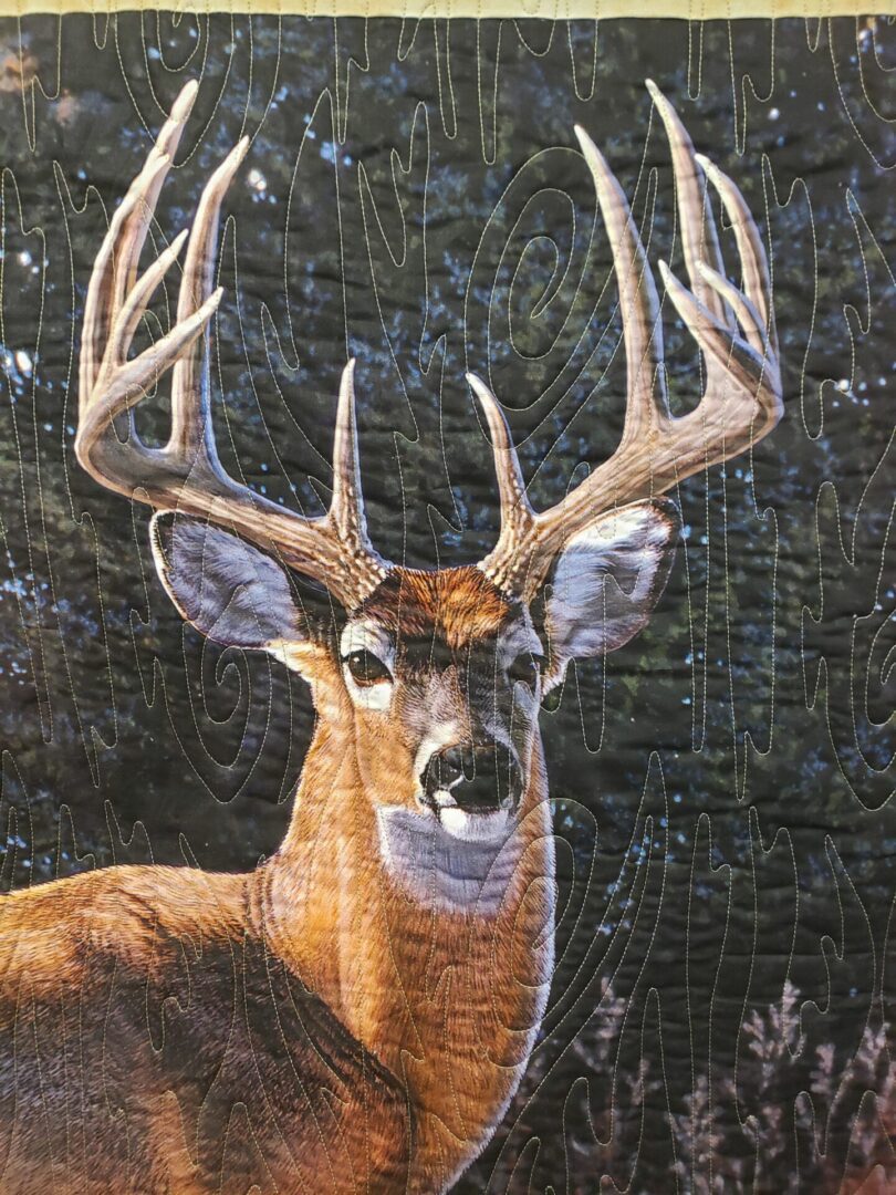 A close up of the head and shoulders of a deer.